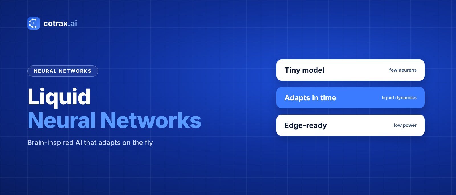 Liquid Neural Networks: What They Are and Why They Matter banner