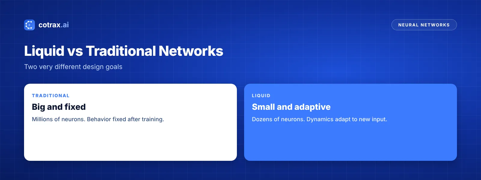 Liquid neural networks compared with traditional deep neural networks